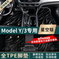 專用特斯拉model3 Y汽車腳墊全包圍tpe地毯大包圍易清洗改裝配件
