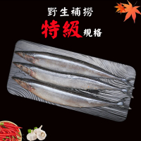 【海之醇】台灣特大秋刀魚6包組(280g±10%/2隻)