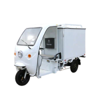 Express delivery Cargo Trike adult tricycle motorized tricycles electric tricyclescustom