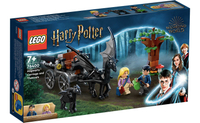 [飛米樂高積木磚賣店] LEGO 76400 Harry Potter-霍格華茲馬車和騎士墮鬼馬