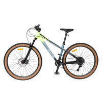 China manufacturer 26 inch 21Speed good quality cheap full suspension mountain bike/CE bike/special MTB bicycle
