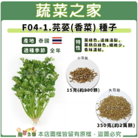 【蔬菜之家】F04-1.芫荽(香菜)種子(共兩種包裝可選)