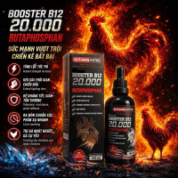 B12 20000 Booster B12 Extra Hàm Lượng Cao Nuôi Gà Đá Cao Cấp