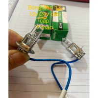 bóng dây chân h3  dùng cho đèn lùi, đèn gầm , đèn trợ  sáng 12v hoặc 24v 100w hàng con ó đẹp