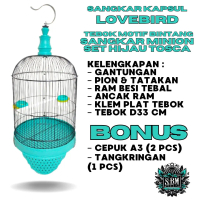 SET SANGKAR BURUNG LOVEBIRD D33 MINION TANGGUNG MOTIF BINTANG WARNA HIJAU TOSCA | SANGKAR BESI BURUN
