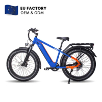 eu factory new road fat tire hybrid 48V 750W 1000w14AH ebike fatbike electric bicycle city bike