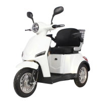 CE wholesale adult big wheel electric tricycle for two people mini tricycle electric 3 wheel scooter