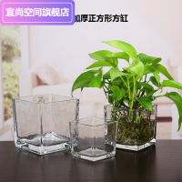 簡約水培花盆正方形玻璃花瓶透明綠蘿水養植物器皿烏龜缸擺件插花