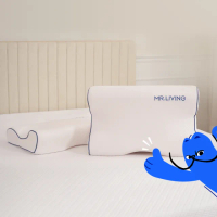 【MR. LIVING 居家先生】買一送一 護頸舒壓蝶型記憶枕 高側12/低側10cm(機能設計/正側睡皆宜)