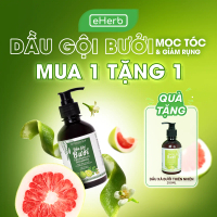 [TẶNG DẦU XẢ] Dầu Gội Bưởi Tinh Chất Cô Đặc Milaganics - Dầu Gội Dưỡng Mọc Tóc Thiên Nh