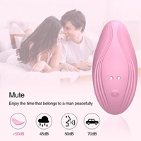 Wireless Remote Control Vibrators Clitoral Stimulator Wearable Masturbation Dildo Vibrating Panties Orgasm Sex Toys for Women