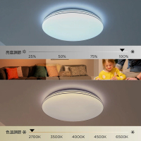 【Philips 飛利浦】80W星鑽版 靜欣