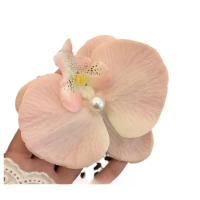 Kẹp Tóc Càng Cua Hoa Lan Phalaenopsis, Màu Hồng Ngọt Ngào Dành Cho Nữ, Kẹp Bên Hông, Kẹp Tóc, Phụ Ki