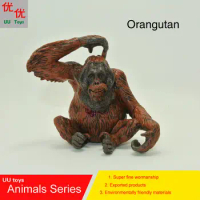 Hot toys:Orangutan Simulation model Animals kids toys children educational props