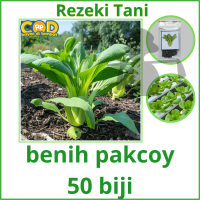 PAKCOY - 50 pcs biji / bibit / benih SAWI PAKCOY / PAK COY / PAKCHOY - ( BIBIT UNGGUL ) bibit sayur 