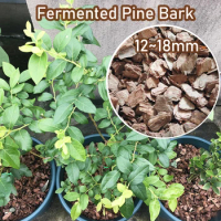 60 g Fermented Pine Bark 12~18mm Keep The Soil Moist Improve Plant Growth Environment Organic Fertilizer