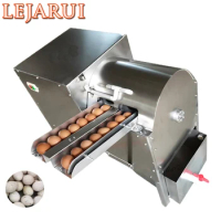 Automatic Eggs Cleaned Machines Double Row Egg Washing Machine