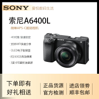 Sony/索尼 ILCE-6400 A6100 A6300 半幅微單4K數碼vlog相機 a6400-樂購