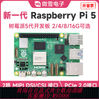 {臺灣公司貨 可打統編}樹莓派5代官方model Raspberry Pi 5 2/4/8GB開發板套件開源硬件
