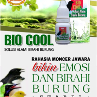 bio cool solusi birahi Burung alami menurunkan birahi dan penyetabil emosi dan birahi