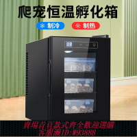 {台灣公司貨 可打統編}烏龜蛋養殖孵化箱孵化機蜥蜴爬寵孵化器爬蟲恒溫孵蛋箱守宮孵化柜