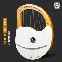 萊雅琴 伯朗小豎琴19弦萊雅琴箜篌小眾樂器便攜式小型lyre里拉琴女生自學 【CM3385】