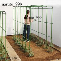 爬藤架 葡萄黃瓜豆角西瓜架 絲瓜瓜棚種菜花支架 庭院花卉植物支撐桿 蔬菜園架 豆角絲瓜架 葡萄爬藤架 戶外庭院陽臺園藝架