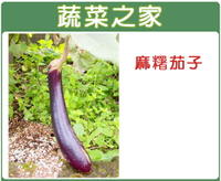 【蔬菜之家】G18.麻糬茄子種子(長型紫紅色 果皮)(共有2種包裝可選)