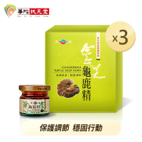華陀天官 靈芝龜鹿精(30g/瓶；9瓶/盒)3盒組---效期品 115.01