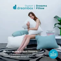 Dreambox Dreams Pillow / Bantal Kepala / Guling Microfiber Guling Sage Green