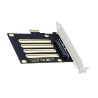 Chenyang PCI-E 4.0 X1 Lane to SFF-8639 Host U.2 U.3 Kit Adapter for Motherboard PM1735 NVMe PCIe SSD
