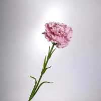 【Floral M】手感保濕康乃馨冰莓粉仿真花材（2入組）(人造花/塑膠花/假花/裝飾花)