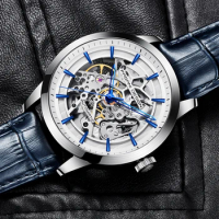 Pagani Design For Mens Watch Automatic Casual Mechanical Skeleton Hollow Dial Militarymontre Automatique Homme Relogio Masculino