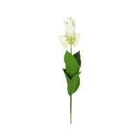 Bunga Artifisial 74 Cm Blossom Anthurium - Putih