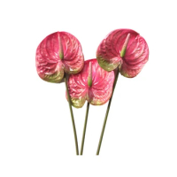3 Pcs 22.8Inch Artificial Anthurium Flowers for Home Decor Bouquet and Green Leaf and Bridal Wedding Decoration(Pink)