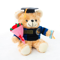 Boneka Wisuda Binus Teddy dengan Buket Bunga