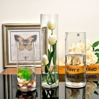 落地新款歐式大號透明玻璃婚慶路引圓柱花瓶客廳富貴竹水培擺件