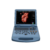 Laptop 4D D LIVE color doppler sonar scanner for Obsterics checking