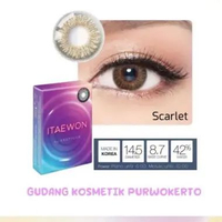 Softlens Itaewon by Exoticon - Softlens untuk Mata Normal Paloma Grey