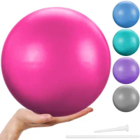 PVC Yoga Ball Easy Inflation Anti Burst Indoor Pilates Exercise Gym Ball Balance &amp; Stability Fitness Exercise Balls
