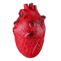 Decor Bloody Heart Halloween Scary Body Parts Real Person Props Fake Decorations Child