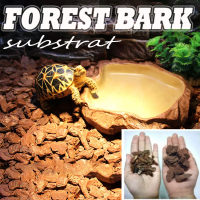 Forest bark forestbark alas kandang reptile substrate kura kura tortoise sulcata sulkata aldabra par