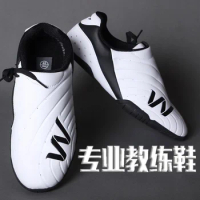 2024 New Martial arts shoes Men Women Taichi Karate Shoe Soft Bottom Taekwondo Shoe Couples Luxury Brand Wushu Shoe Boys