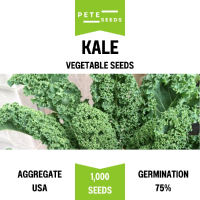 เมล็ดพันธุ์ ผักเคล (Kale) เคล คะน้าใบหยิก PETE SEEDS