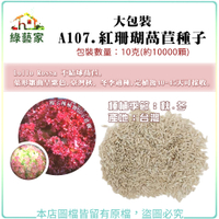 【綠藝家】大包裝A107.紅珊瑚萵苣種子10克(約10000顆) Lollo Rossa 不結球萵苣