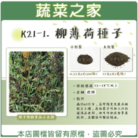 【蔬菜之家】K21-1.柳薄荷種子(神香草.海壽花)(共兩種包裝可選)