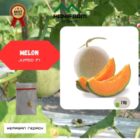 Benih Melon Jumbo F1