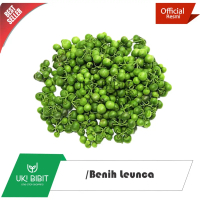 ( 10 Gram ) Benih Leunca | Ranti | Lenca | Lunca
