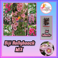 Biji bunga Hollyhoock