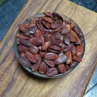 kacang kenari asli selayar